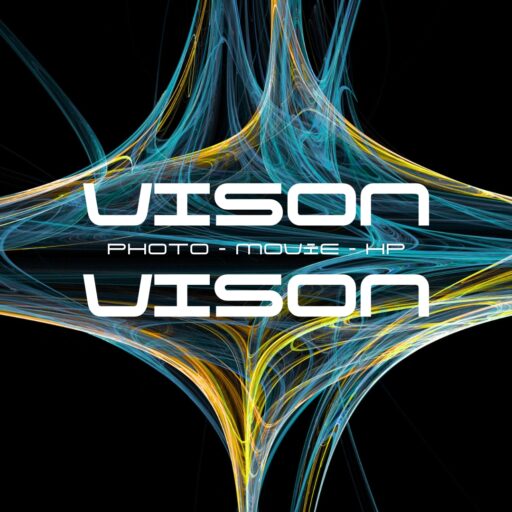 VISION VISION